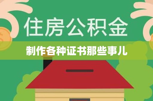 龙文制作各种证书那些事儿